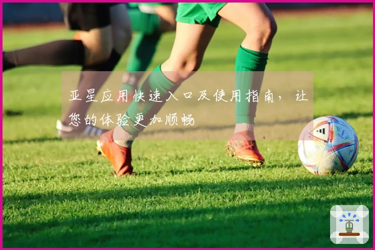 亚星应用快速入口及使用指南，让您的体验更加顺畅